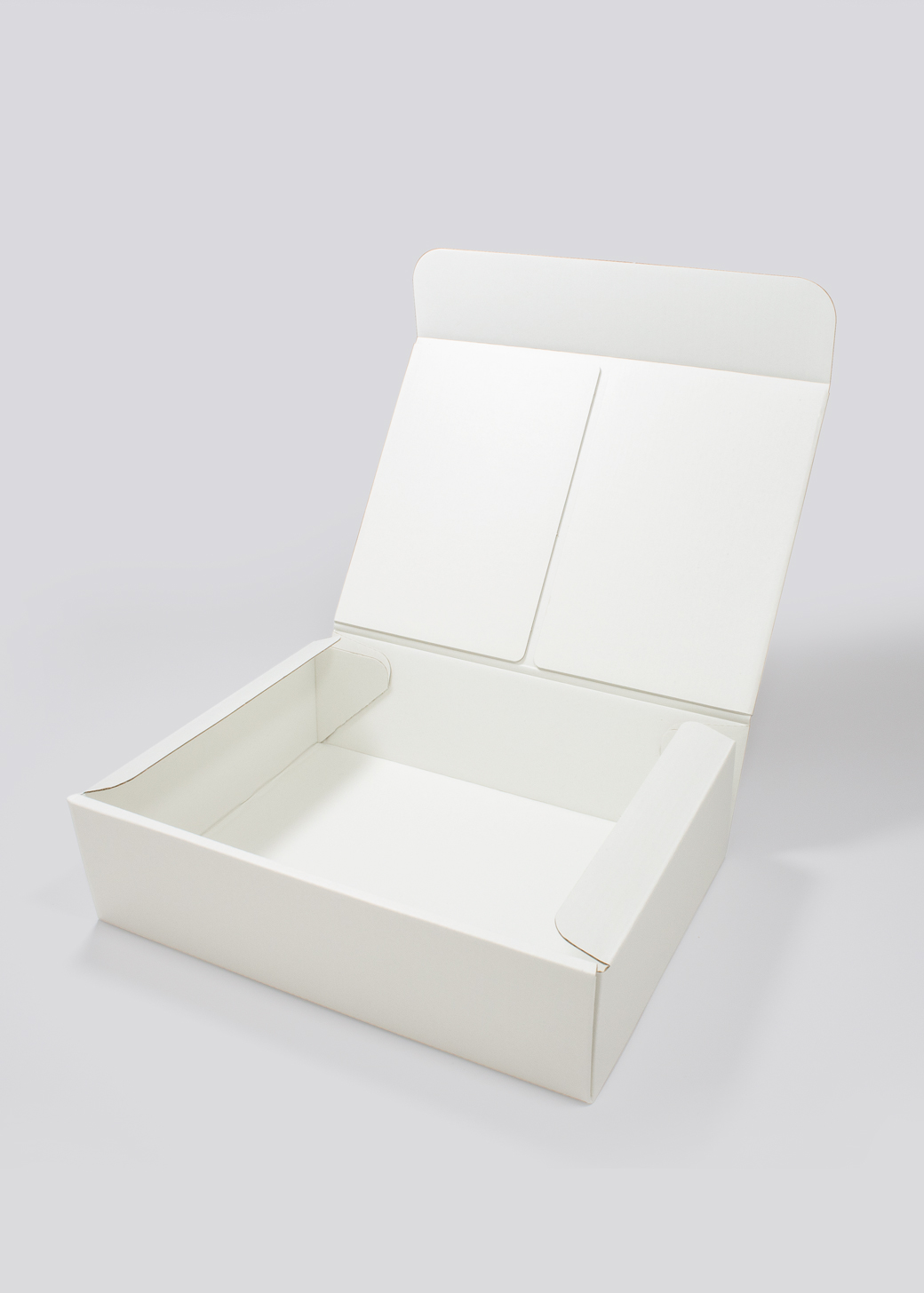 インテグラルプラス